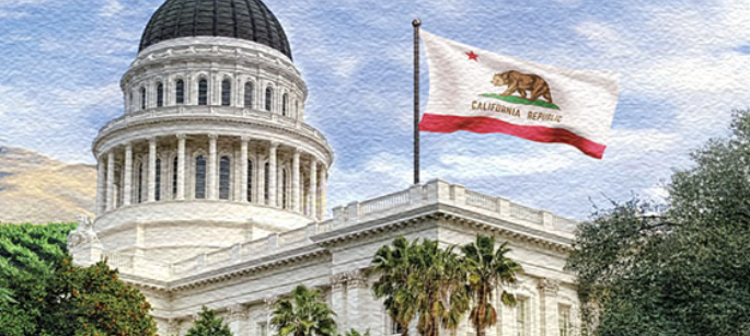 Finance Budget Analysts